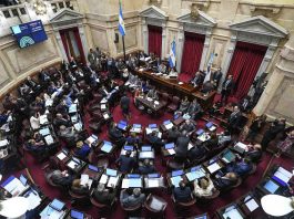 El Senado rechazó los vetos presidenciales en Garrahan y universidades