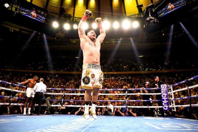 Combate De Boxeo Mas Corto De La Historia