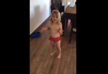 El viral del momento: una nena creyó que su gato jugaba con un “conejito bebé”, pero era otra cosa