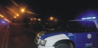 Robó un novillo y lo mató de un hachazo para poder transportarlo