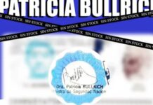 Curioso posteo de Bullrich sobre los DNI: “No lo pierdas, edición limitadísima”