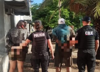 Detuvieron a una mujer armada y que tenía una tobillera electrónica