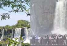 Cataratas del Iguazú: se le cayó su celular y se tiró al agua para recuperarlo