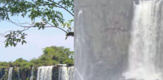 Cataratas del Iguazú: se le cayó su celular y se tiró al agua para recuperarlo