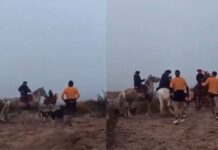 Escándalo y violencia en una carrera: jinetes atacaron a corredores