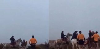 Escándalo y violencia en una carrera: jinetes atacaron a corredores