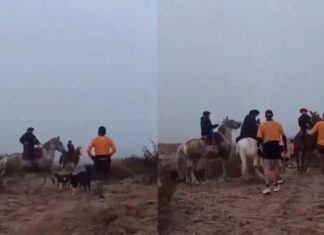 Escándalo y violencia en una carrera: jinetes atacaron a corredores