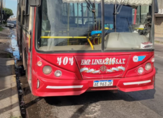 Robó un colectivo, levantó pasajeros y fue detenido: el insólito argumento para “defenderse”