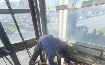 Sacaron 600 kilos de basura del Parque Alberdi