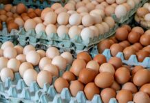 Argentina lidera el consumo mundial de huevo: ¿cuál es la cantidad por persona?